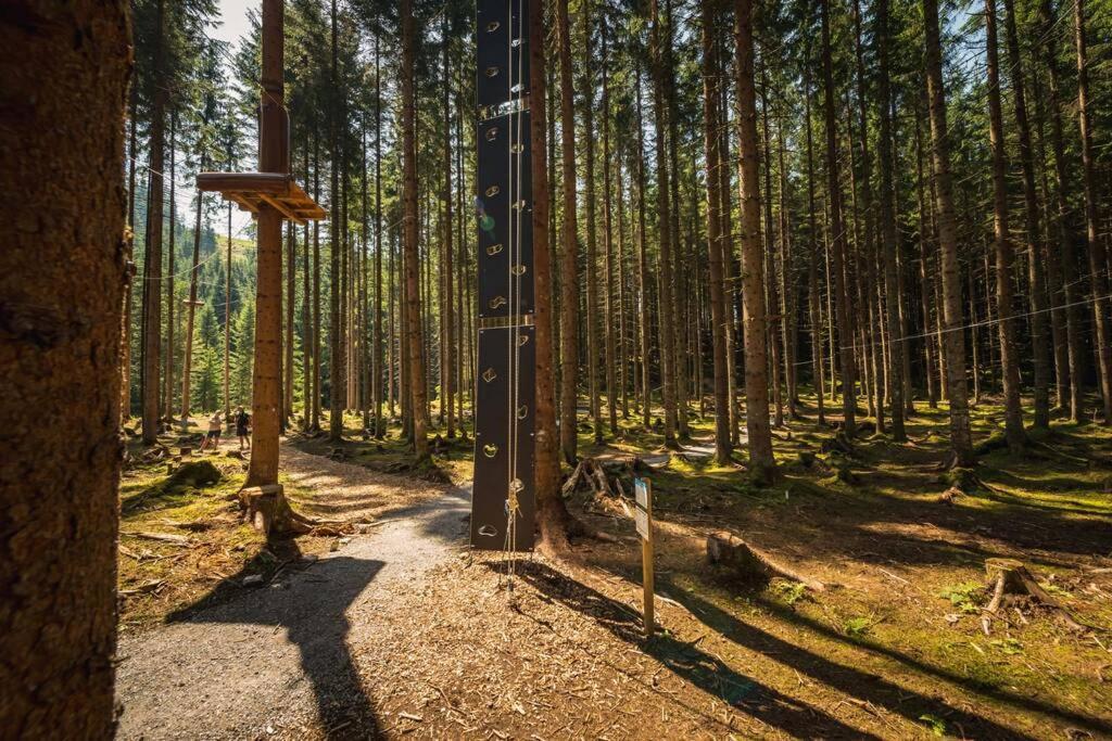 Berg&Selig Ferienhaus Appartement Pfarrwerfen Buitenkant foto